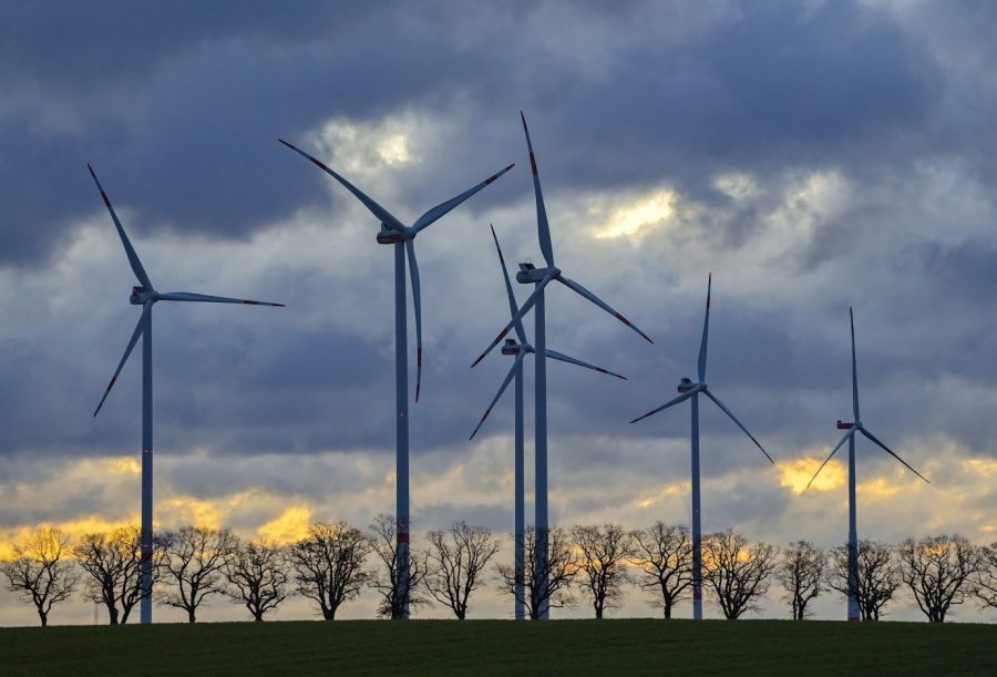 Sieben Pro Tag Umweltexpertin Fordert Massiven Ausbau Von Windkraftanlagen