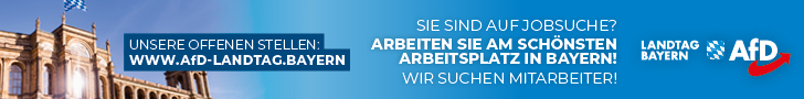 AfD Fraktion Bayern, Bayrischer Landtag