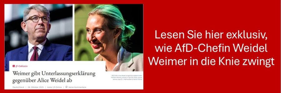 Wolfram Weimer unterliegt Alice Weidel