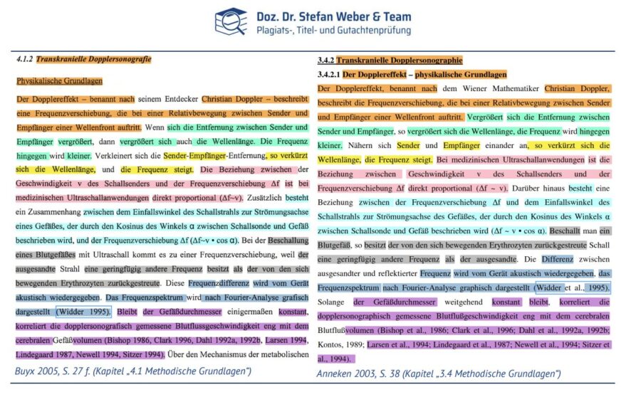 Insgesamt 73 Plagiate will Weber in der Dissertation von Buyx gefunden haben. Screenshot: zVg