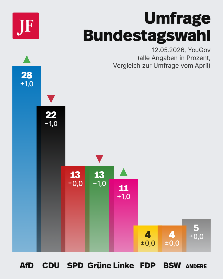 AfD bei 28 Prozent