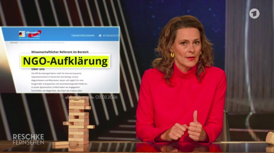 Dass die AfD sich kritisch mit NGOs befasst, gefällt Anja Reschke nicht.