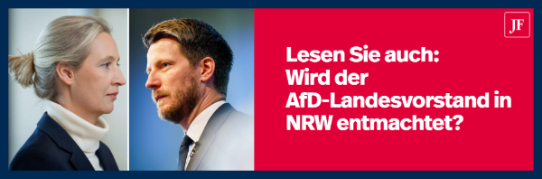 Wird der AfD-Landesvorstand in NRW entmachtet?
