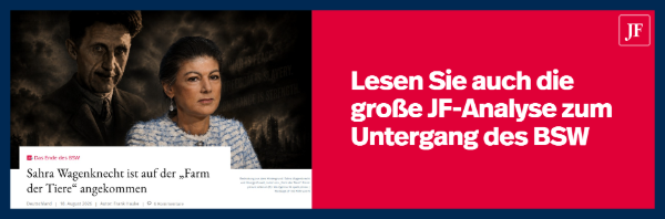 Aufstieg und Fall des BSW.