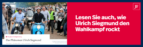 Mehr über AfD-Spitzenkandidat Ulrich Siegmund