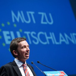 Bernd Lucke: Parteiinterne Kritik Foto: dpa/picture alliance