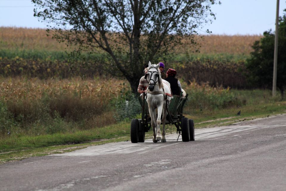 Pferdefuhrwerk in Moldawien