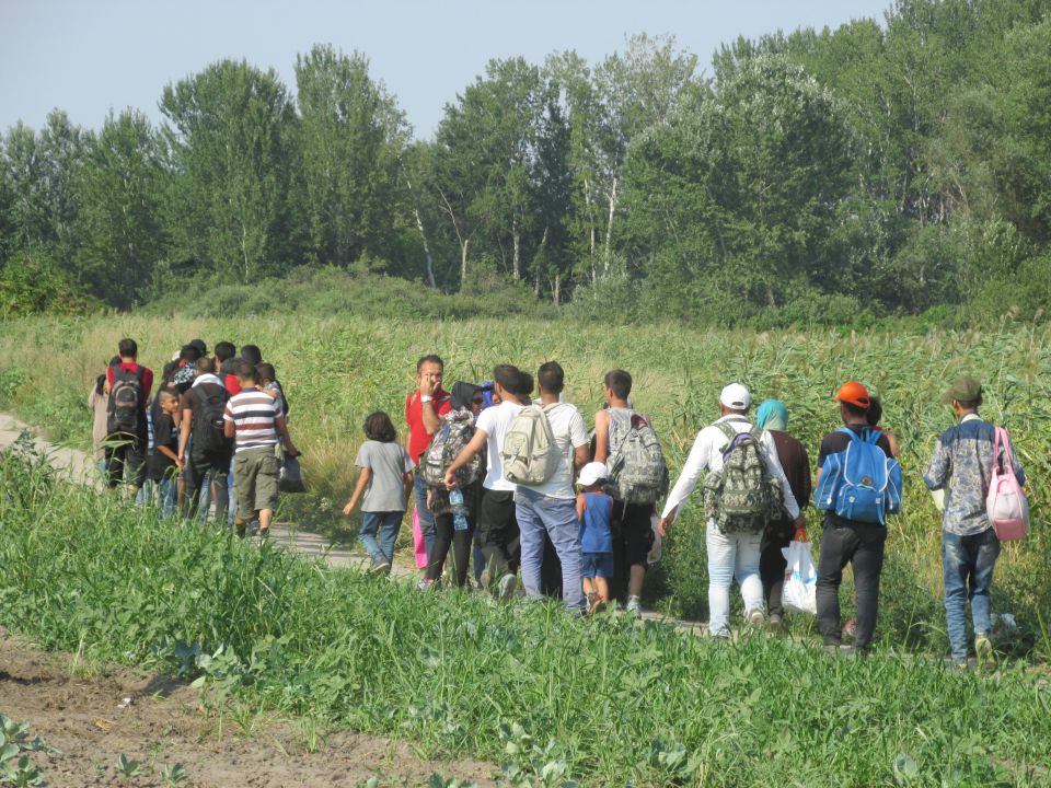 Illegale Einwanderer kurz vor dem Grenzübertritt nach Ungarn
