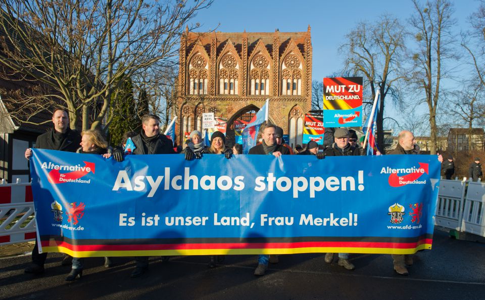 AfD-Demo