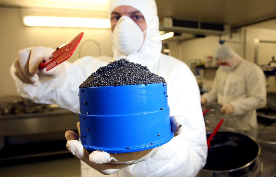 Kaviarproduktion