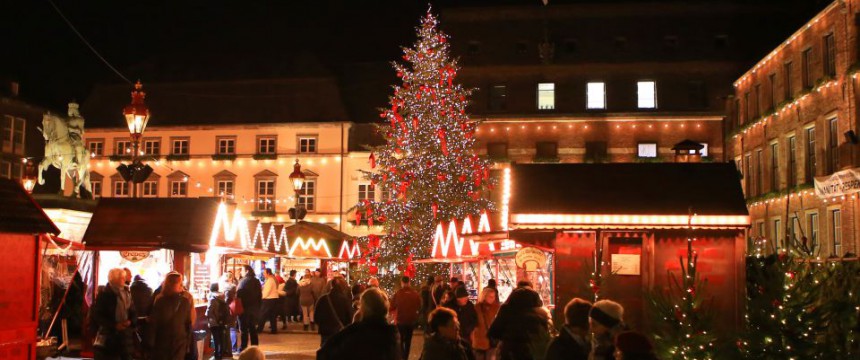 Weihnachtsbaum vor dem Rathaus in Düsseldorf soll nach dem Wunsch der Grünen verschwinden Foto: picture alliance