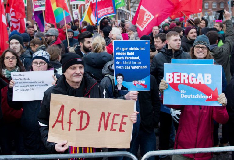Proteste gegen AfD