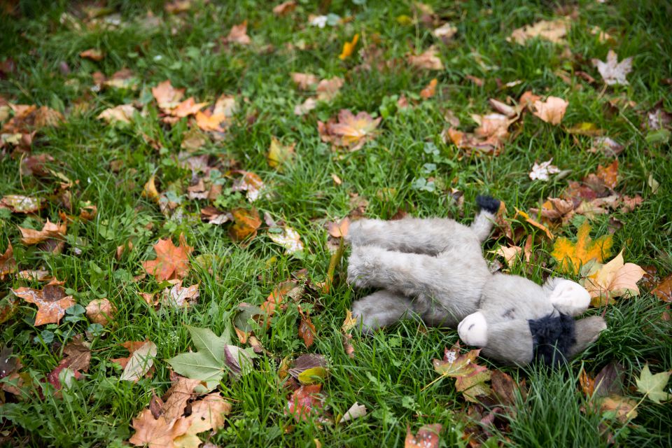 Ein Plüschtier liegt auf dem Grasboden. Es symbolisiert den Mißbrauch von Kindern, auch für Kinderpornos wie im Fall in Ungarn.