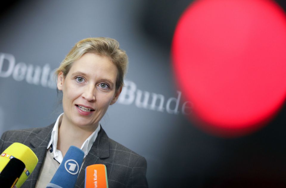 Nackt afd weidel German Election: