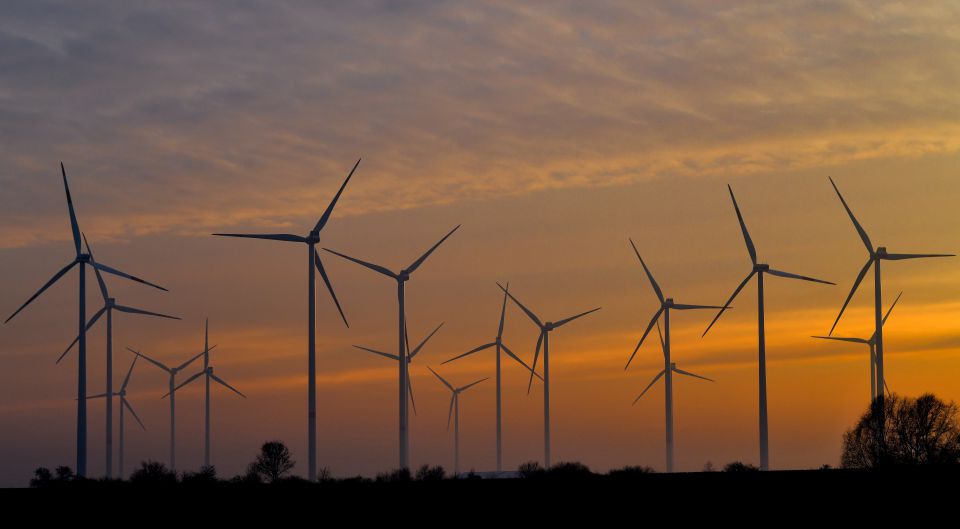 Windpark in Brandenburg