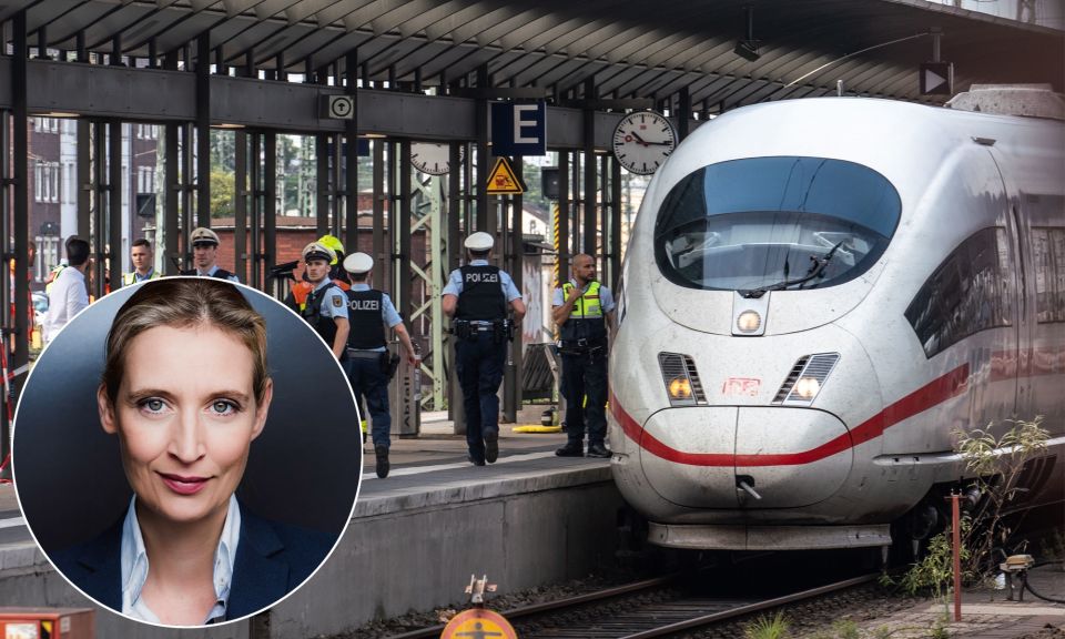 Weidel nackt afd Rees