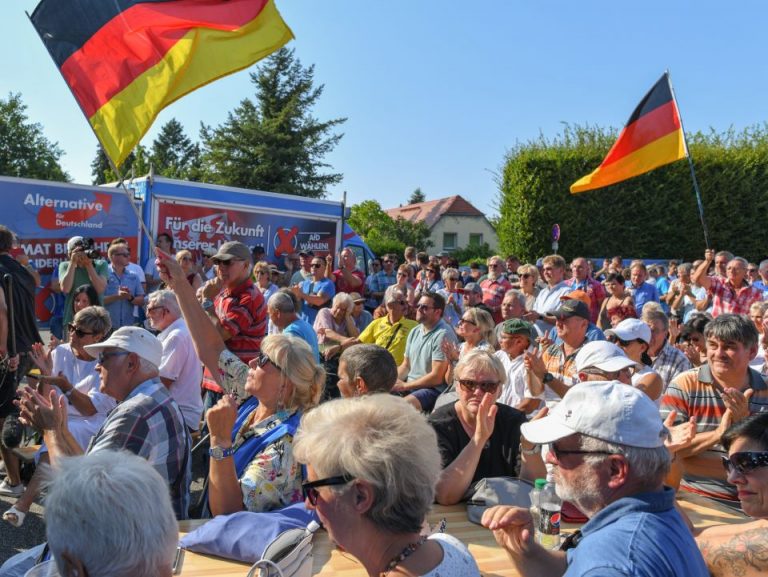 Wahlkampf der AfD in Brandenburg