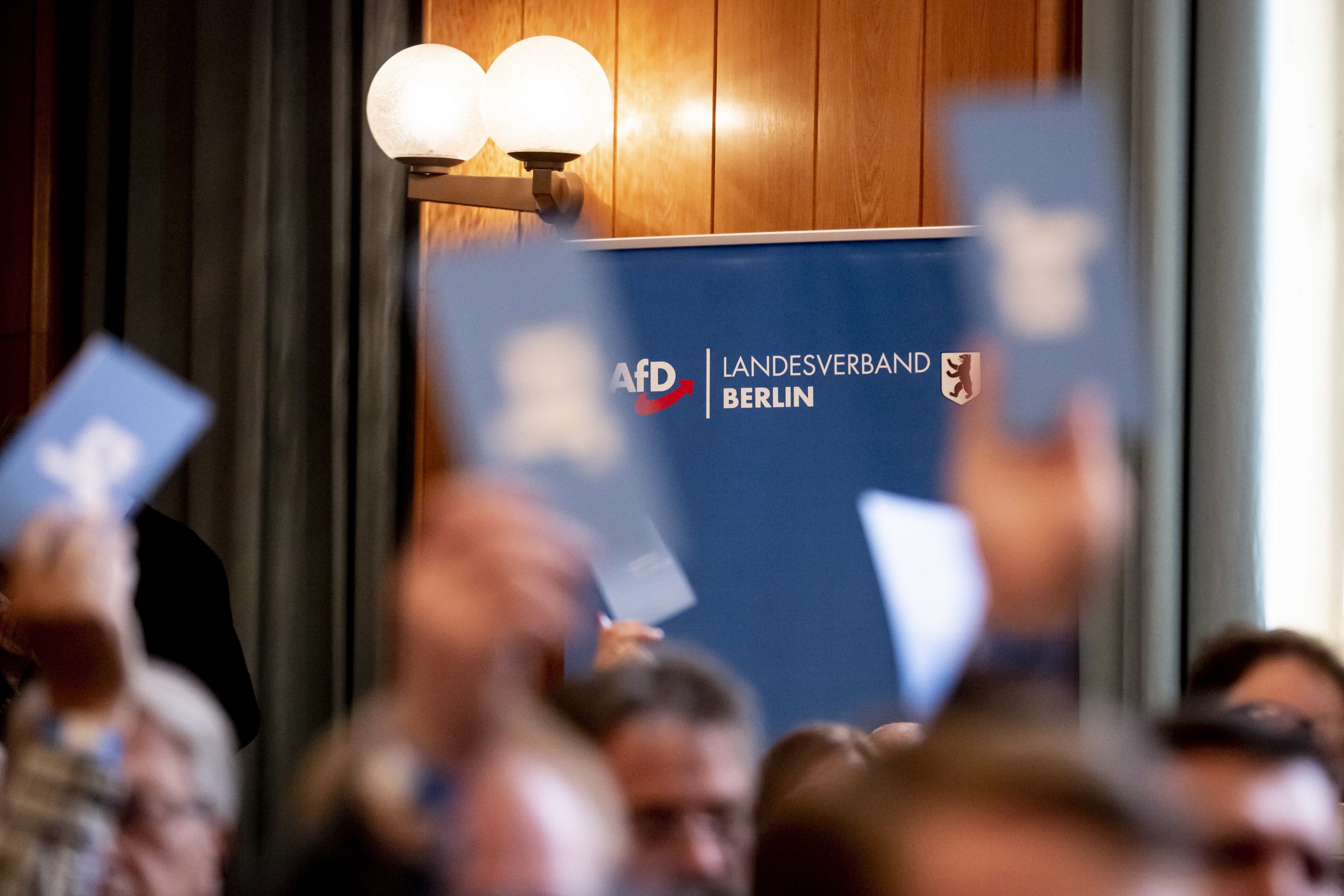 Parteitag der AfD Berlin 2019 Foto: picture alliance/Christoph Soeder/dpa