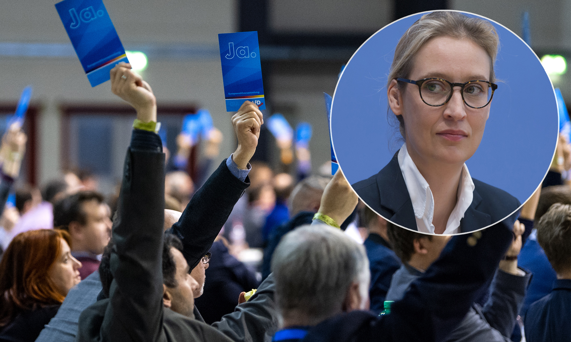 Alice Weidel