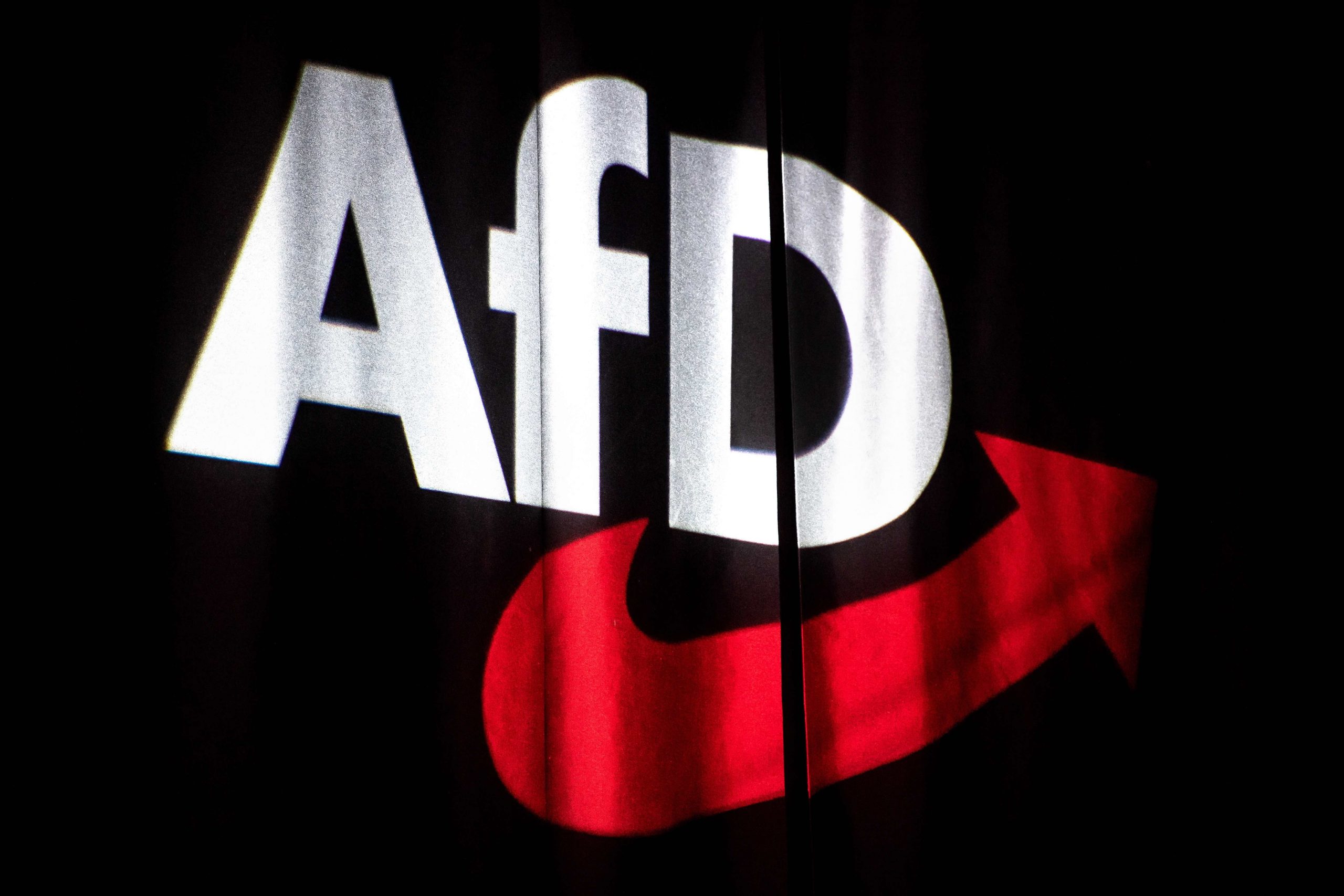 AfD Bundesparteitag