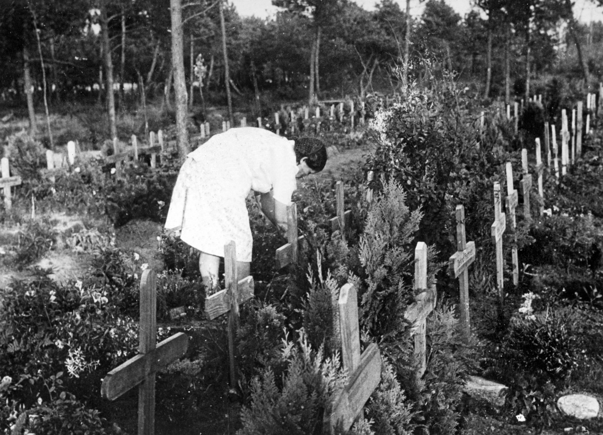 Ein deutscher Flüchtlingsfriedhof in Dänemerk nach dem Zweiten Weltkrieg Foto: picture alliance