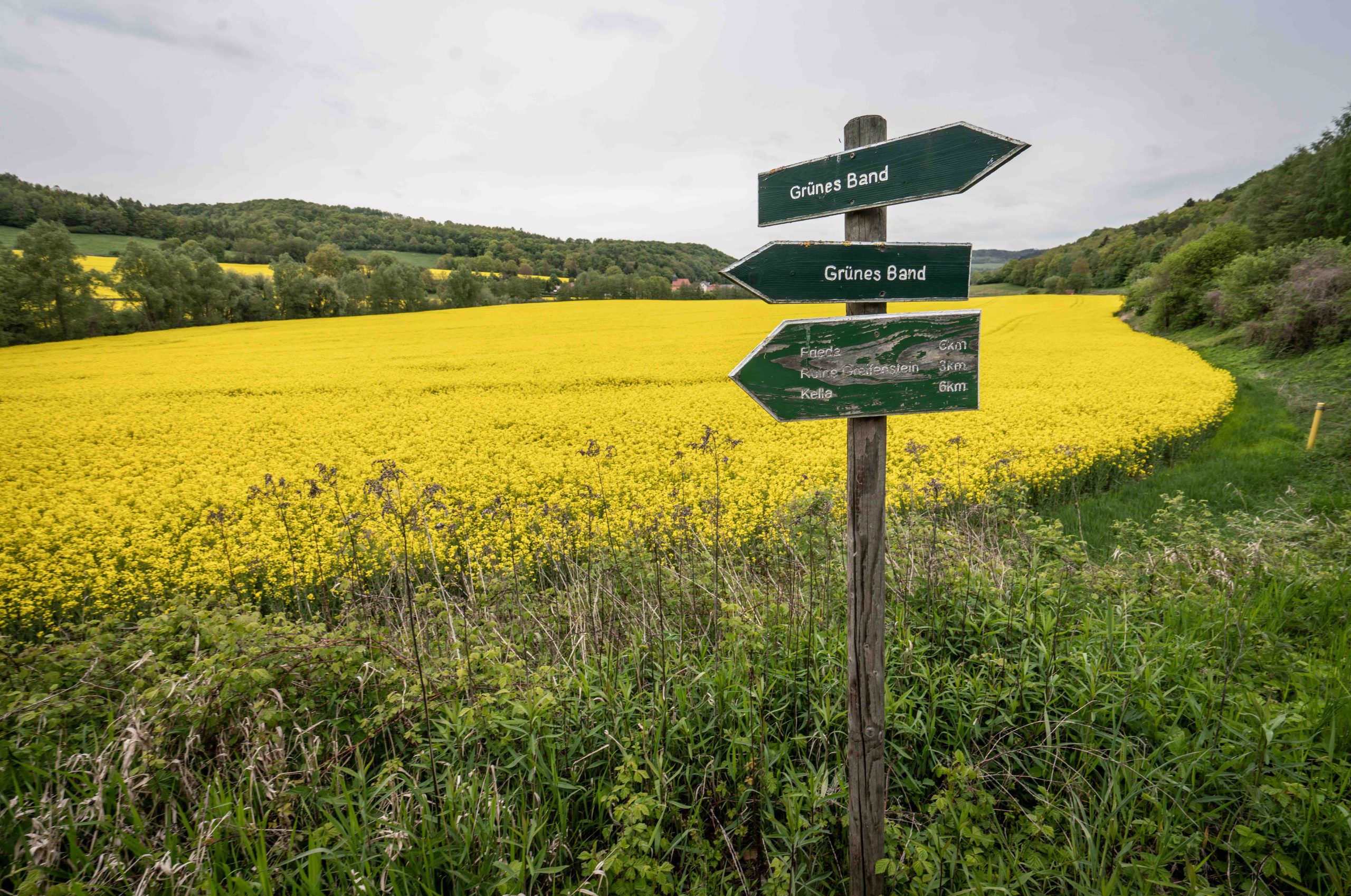 Grenzstreifen
