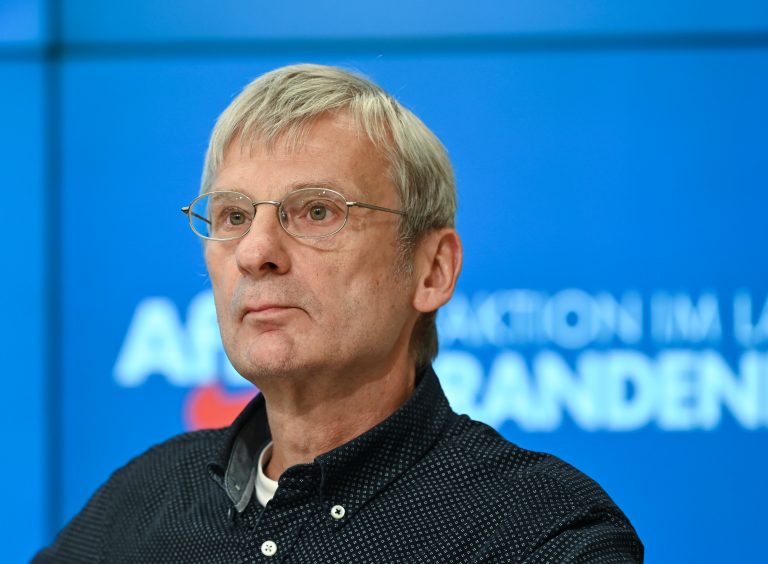 Hans-Christoph Berndt (AfD): Neuer Landtagsfraktionsvorsitzender