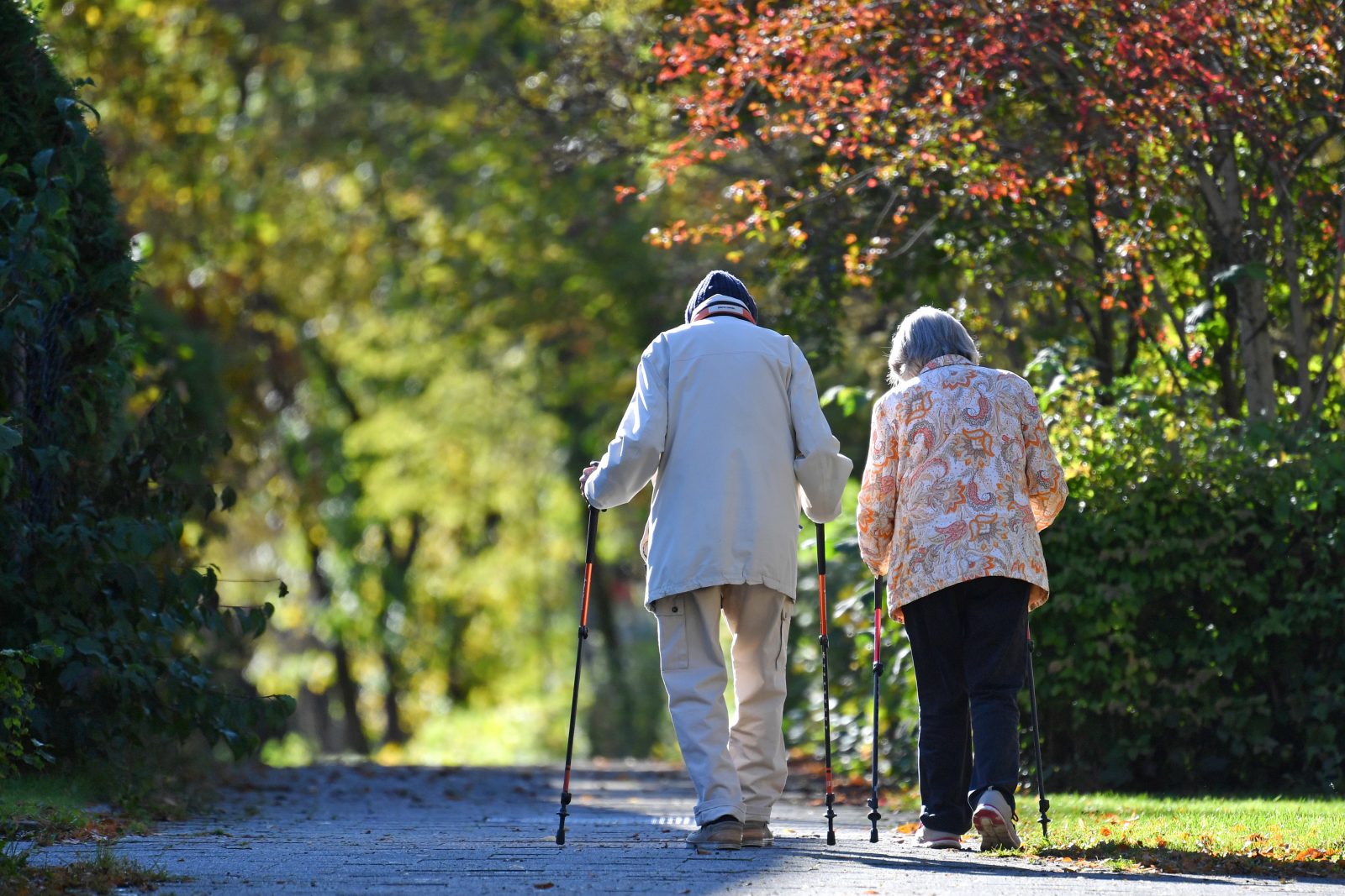 Älteres Ehepaar geht in der Natur spazieren: Über 60jährige sind am häugisten bereit, Nachhaltigkeit in ihrem Alltag zu berücksichtigen, um das Klima zu schonen