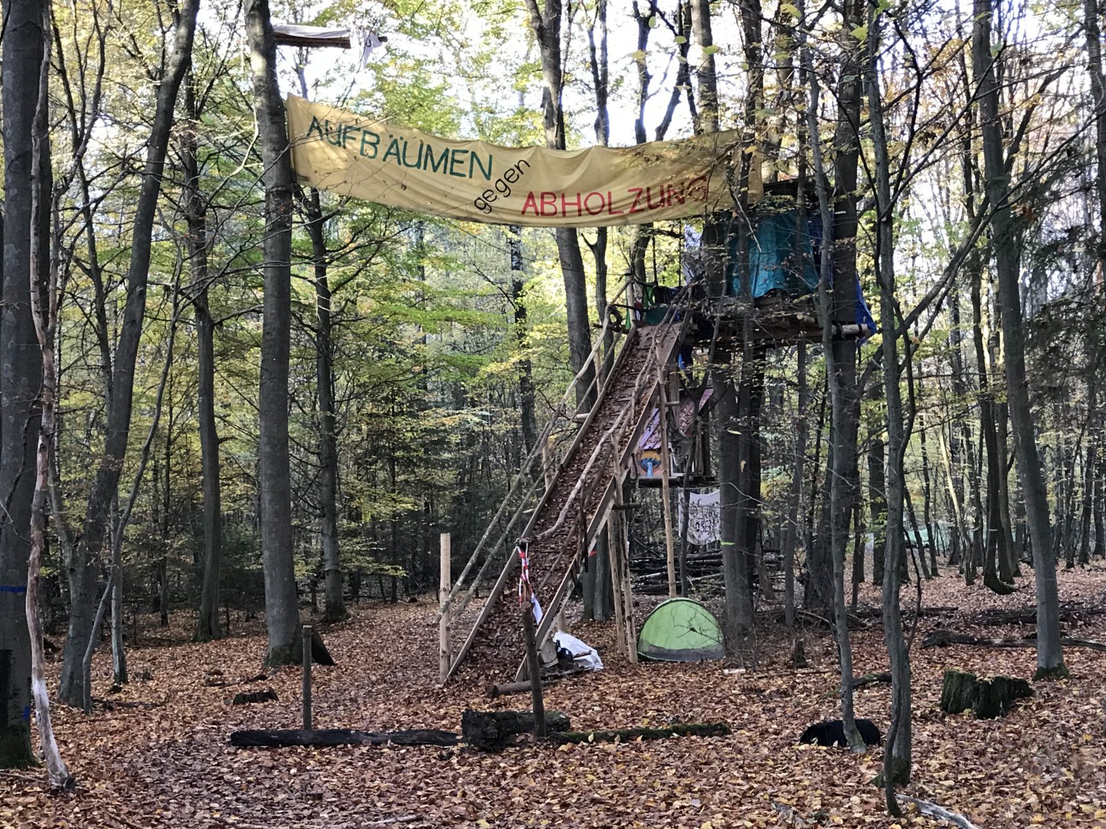„Aufbäumen gegen Abholzung“ steht auf einem Transparent der Demonstranten im Dannenröder Forst.
