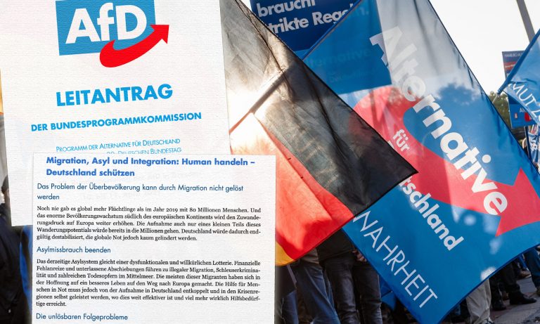 AfD-Programm für den Bundestagswahlkampf