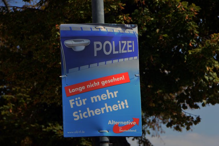AfD-Wahlplakat 2019 in Brandenburg