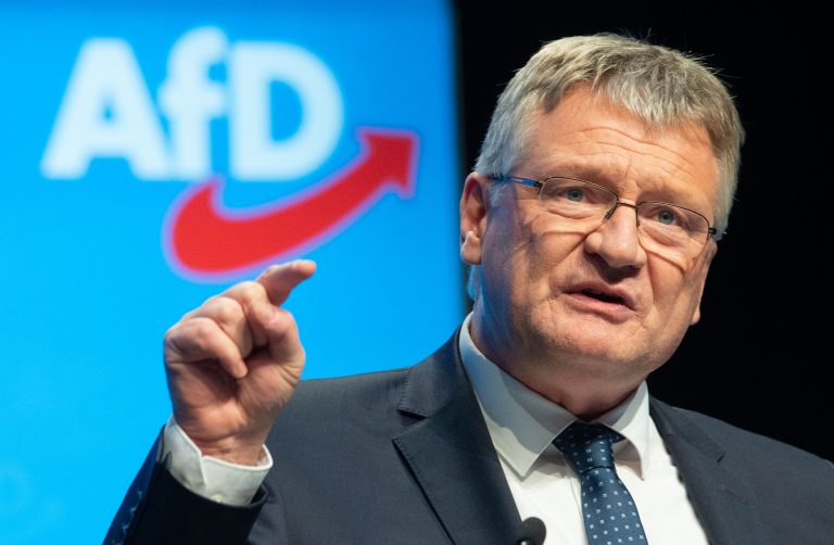 AfD-Bundessprecher Jörg Meuthen