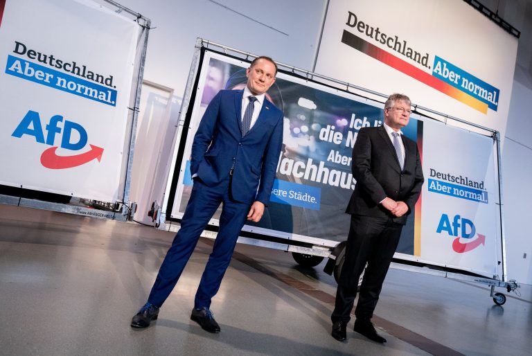 Die AfD-Chefs Tino Chrupalla (l.) und Jörg Meuthen