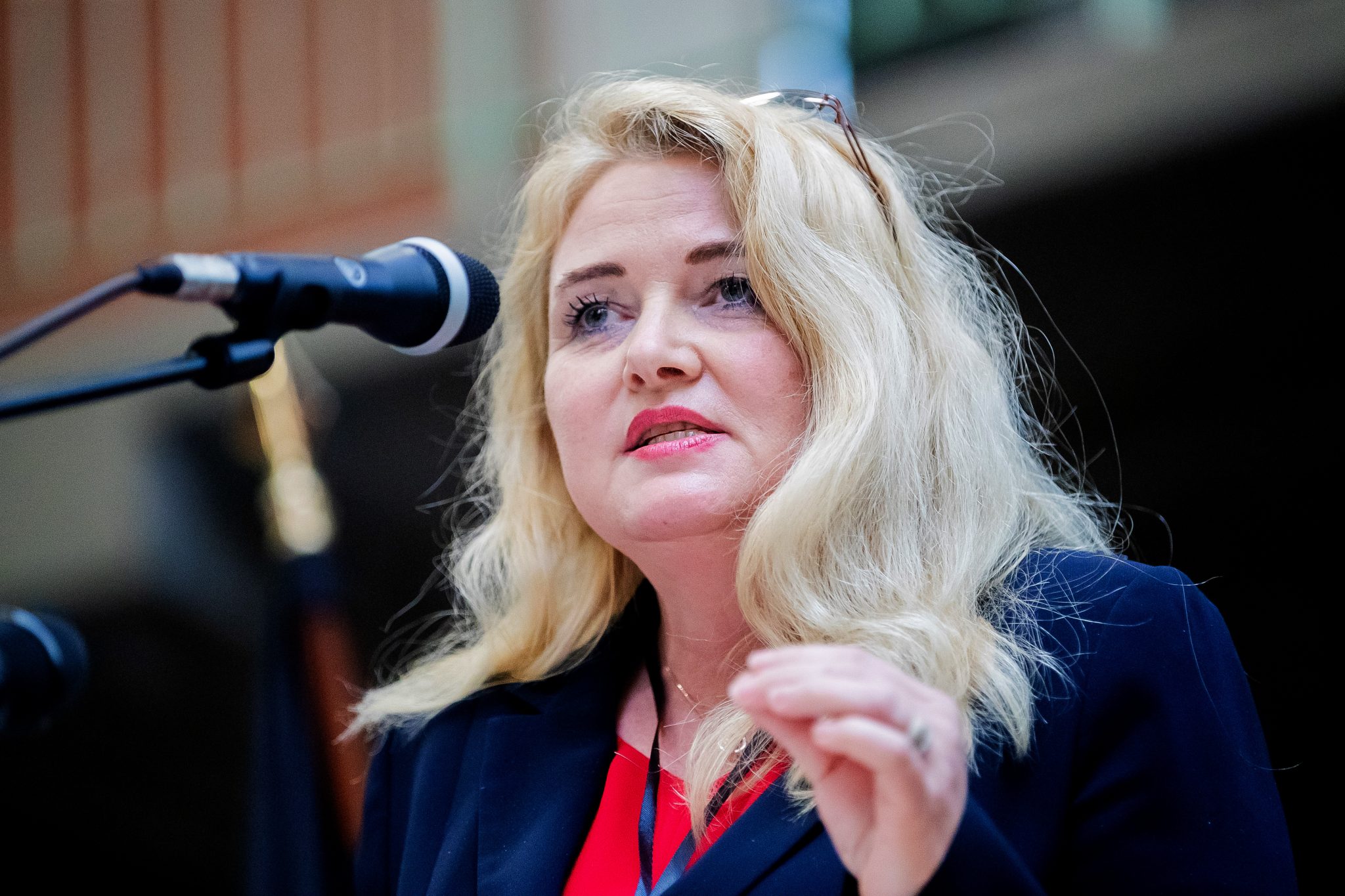 AfD-Landesvorsitzende Kristin Brinker