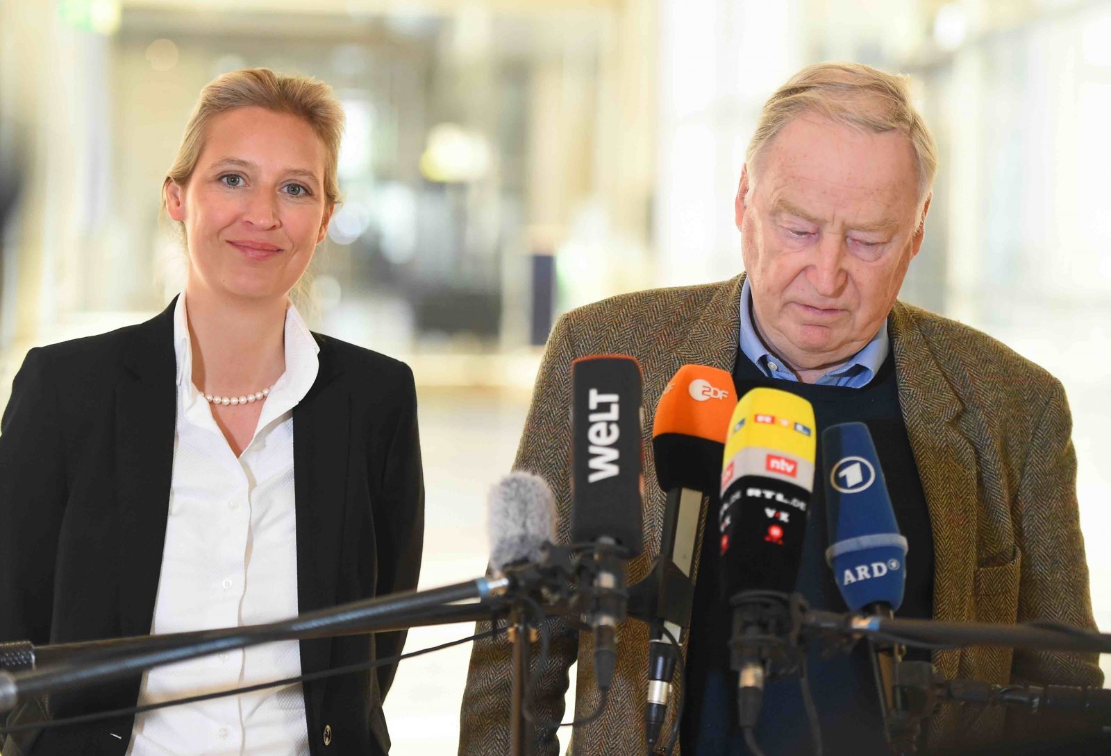 Weidel Gauland AfD