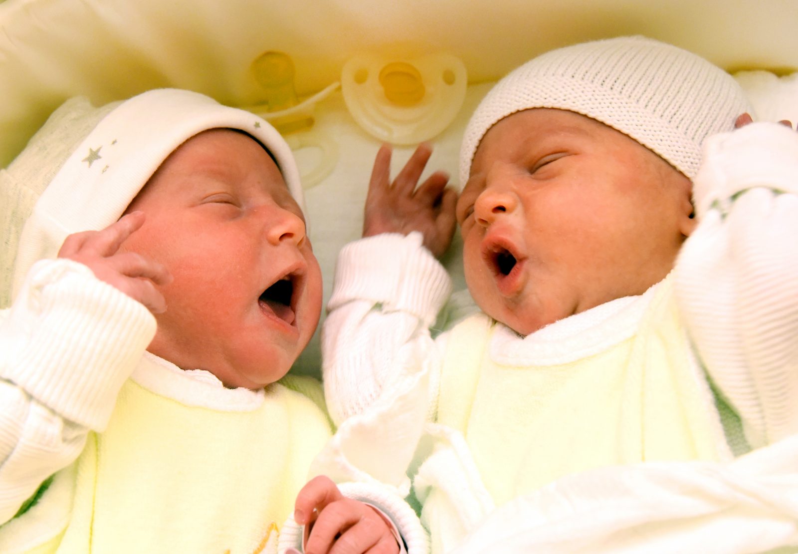 Zwillinge in einem Krankenhaus in Halle an der Saale: Geburtenrate steigt im März sprunghaft