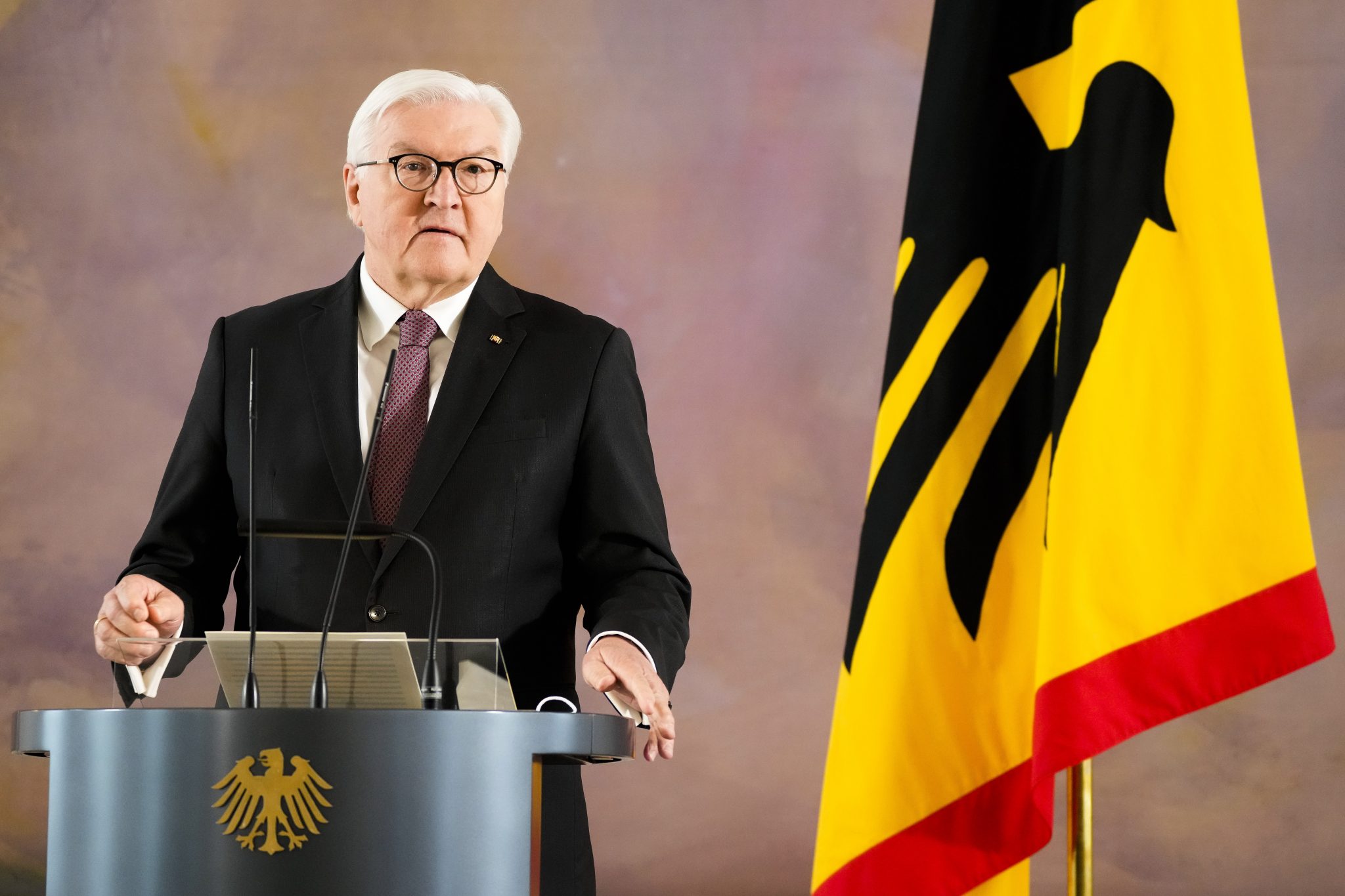 Bundespräsident Frank-Walter Steinmeier: Kandidiert für zweite Amtszeit