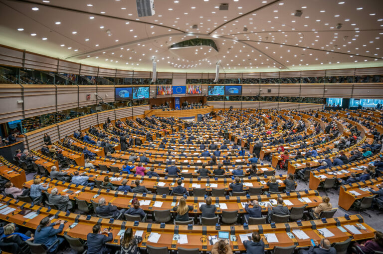 Plenarsaal des EU-Parlaments: Semedo pocht auf mehr Diversität in Brüsse