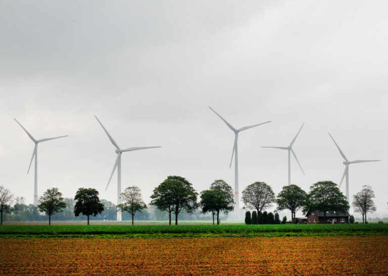 Nach dem Willen des Energieverbandes BDEW sollen jährlich 1.500 neue Windräder in Deutschland aufgestellt werden Foto: picture alliance/dpa | Roland Weihrauch