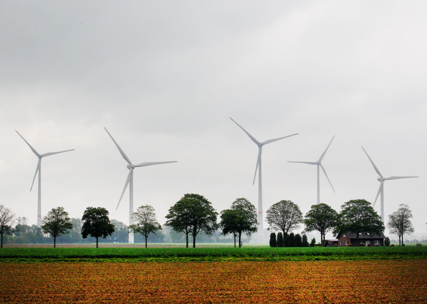Nach dem Willen des Energieverbandes BDEW sollen jährlich 1.500 neue Windräder in Deutschland aufgestellt werden Foto: picture alliance/dpa | Roland Weihrauch