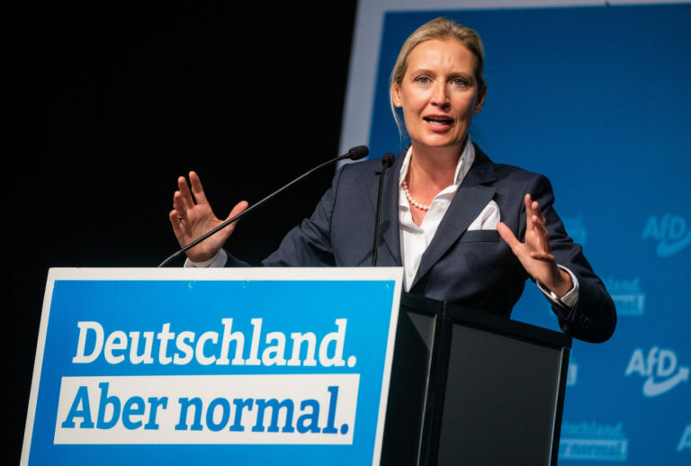 AfD-Spitzenkandidatin 2021 Alice Weidel