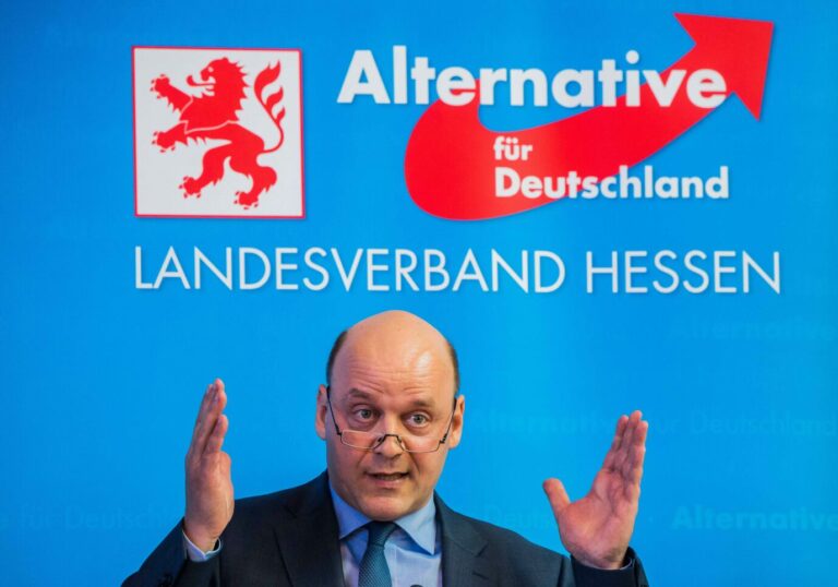 Robert Lambrou, Vorstandssprecher der AfD in Hessen Foto: picture alliance/dpa | Andreas Arnold
