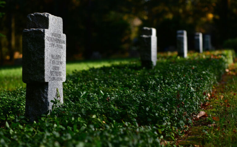 Grabsteine für die Toten des Zweiten Weltkriegs (Symbolbild)