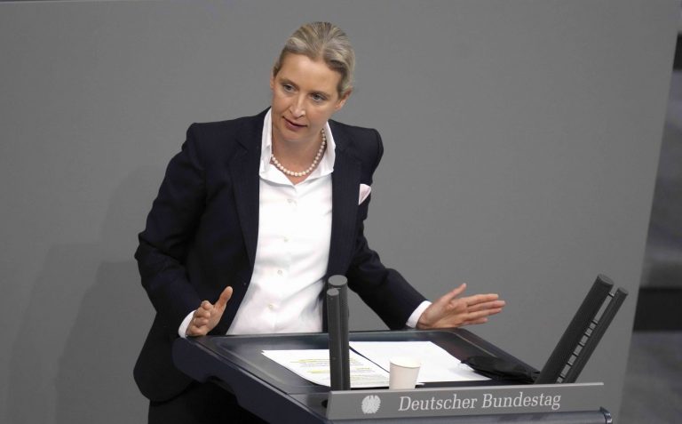 AfD-Fraktionschefin Alice Weidel will nicht mehr für den Landesvorsitz in Badebn-Württemberg kandidieren.
