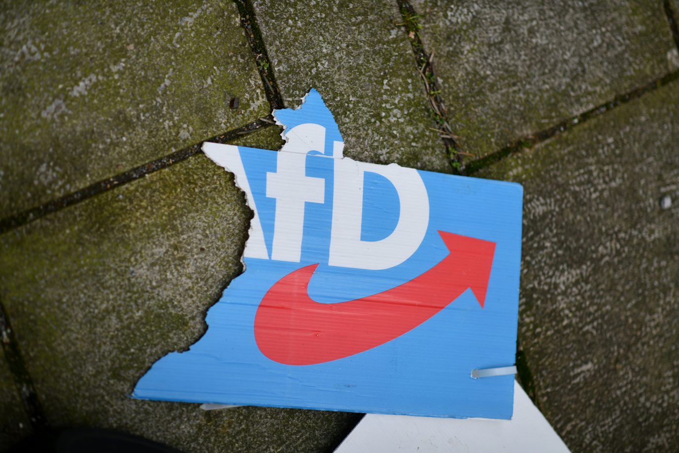 Zerstörtes Wahlplakat der AfD (Archivbild)