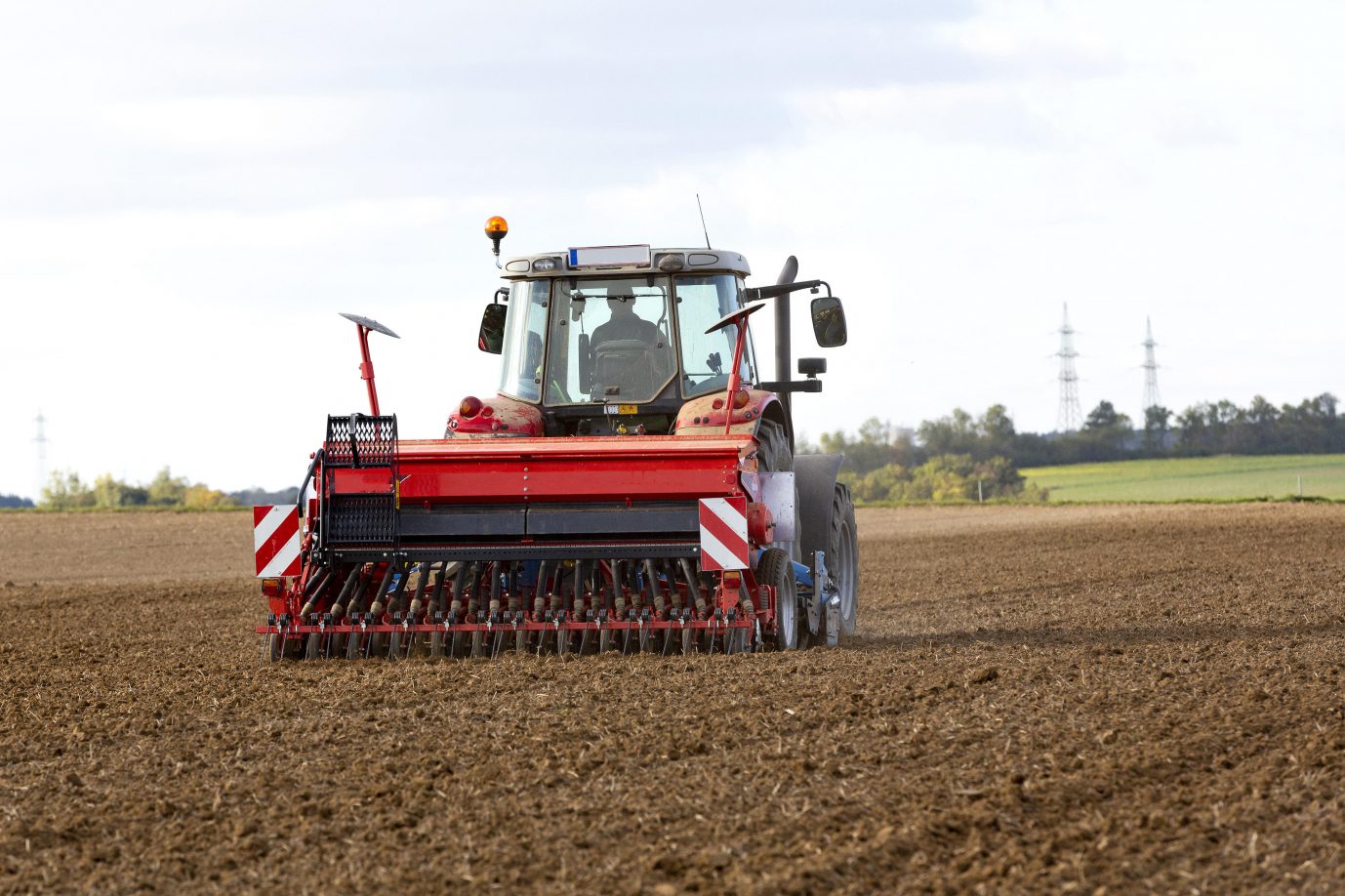 Wie geht es weiter mit dem Getreideanbau, wenn die EU brach liegende Flächen verlangt? (Symbolbild) Foto: picture alliance / CHROMORANGE | Ernst Weingartner