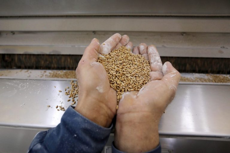 Ohne Getreide und Düngemittel drohen Hungersnöte wenn das Brot fehlt (Symbolbild) Foto: picture alliance / ZUMAPRESS.com | Ashraf Amra