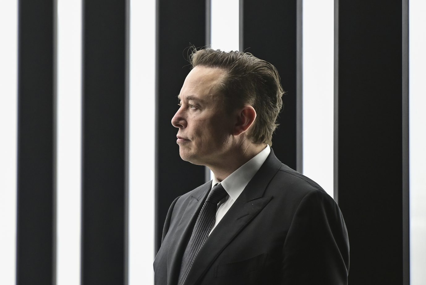 Elon Musk: Gehaßt und geliebt Foto: picture alliance / ASSOCIATED PRESS | Patrick Pleul