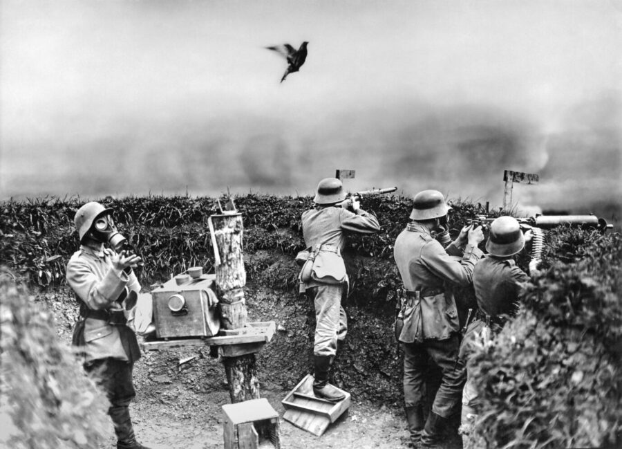 Deutsche Soldaten mit Gasmasken in ihrer Stellung im Ersten Weltkrieg: Die Taube wird als Test auf Giftgas fliegen gelassen Foto: picture alliance / akg-images | akg-images 
