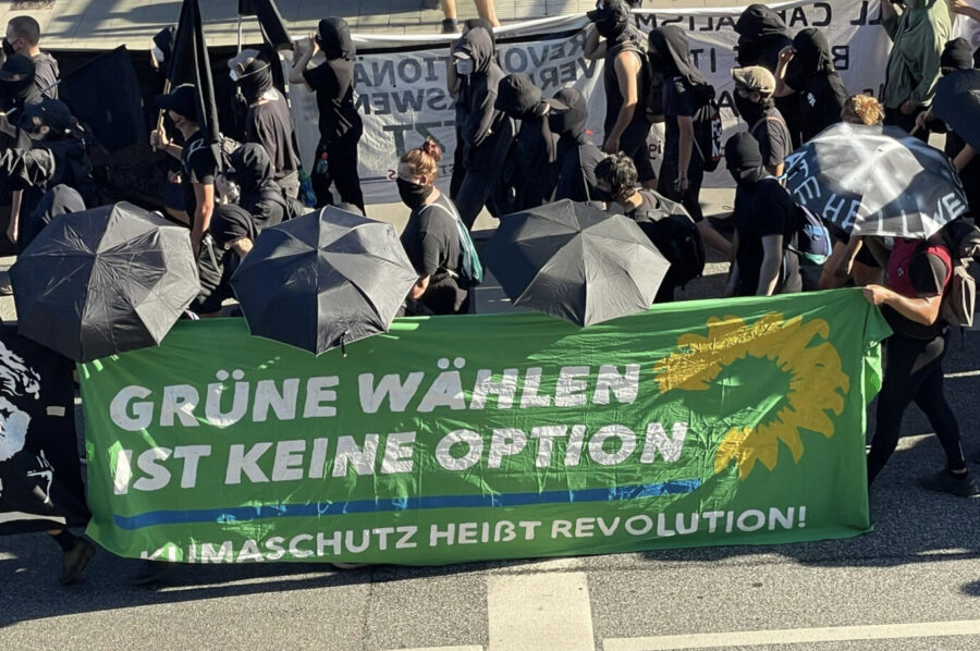 Die Grünen haben nicht nur Fans auf der Hamburger Klima-Demo Foto: JF 